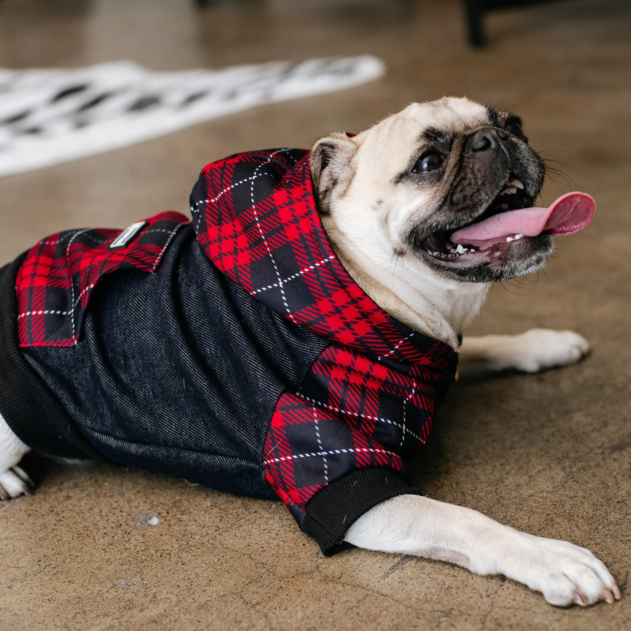 Frenchie Dog Hoodie - Red Tartan